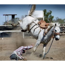 Fototapetai Vyras nukrenta nuo arklio